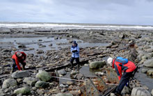 Volunteers recording one of the many wrecks that were exposed along the coast after the winter storms