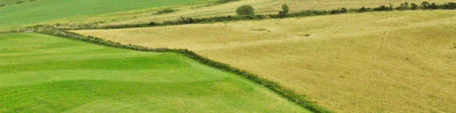 Roman road running across fields at Mynydd Baden