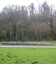 The Neolithic chambered tomb in Green Cwm, with the location of the enclosure at the top of the slope in the background hidden by trees