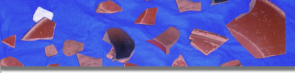 Image of recovered sherds of samian pottery scratched up by the pheasants