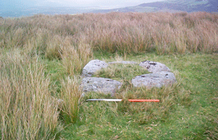 A kerb cairn on Cefn Gwrhyd north of Pontardawe, Neath Port Talbot. 