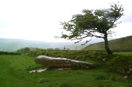 Cefn Gwrhyd standing stone, Pontardawe, Neath Port Talbot.