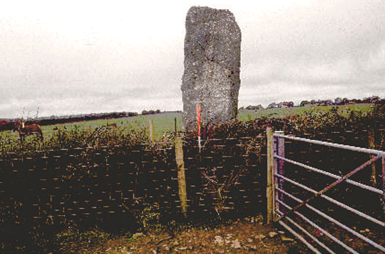 Mansel's Jack standing stone, Oldwalls, Gower.