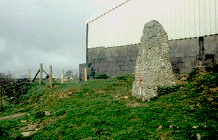 Ty'r Coed standing stone