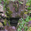 St Peter's Well at Caswell, Swansea, stand next to the ruined St Peter's Chapel