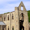  The remains of Tintern Abbey (Monmouthshire) are some of the best 
    preserved anywhere in Wales, and include substantial parts of the buildings around the cloister