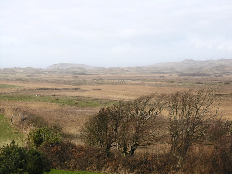 Photo of Llangennith Moor