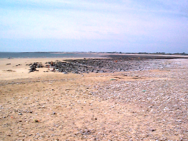 View of sands towards Newton Point.