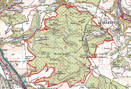 HLCA010 Mynydd Margam Forest: Coedwig Mynydd Margam