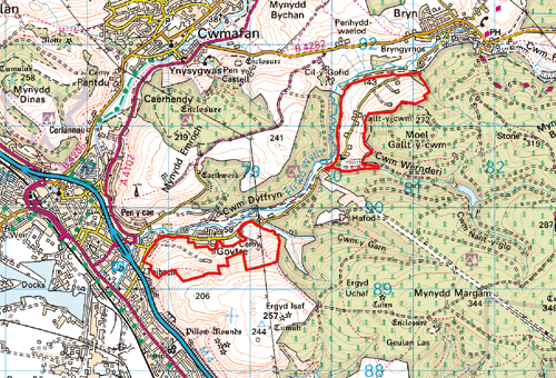 HLCA 017 Cwm Dyffryn: Southern Valley Sides: Cwm Dyffryn: Ochrau Deheuol y Cwm