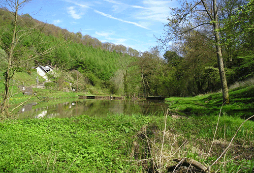 Govilon Canal: view to the west.