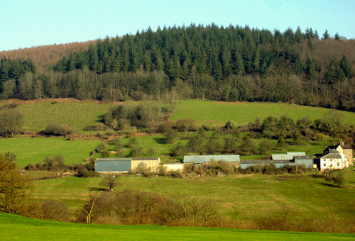 Fieldscape of Glantorfaen with Company's Farm (centre)and industrial terraced row (middle left)