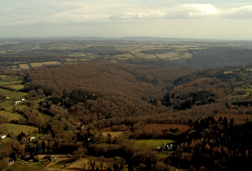 Aerial view across the ancient woodland of HLCA027.