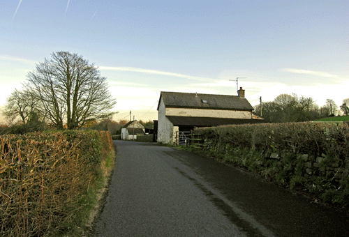 Image of two flanking hedges leading up to post-medieval farmstead.