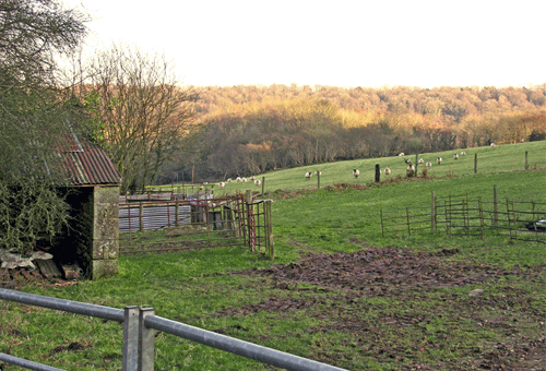 Image showing the varied agricultural landscape of HLCA030.
