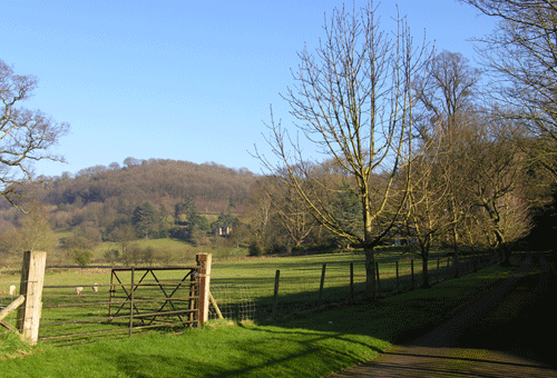 Enclosed agricultural landscape of small, irregular fields, Cwm Llanwenarth: view to the north