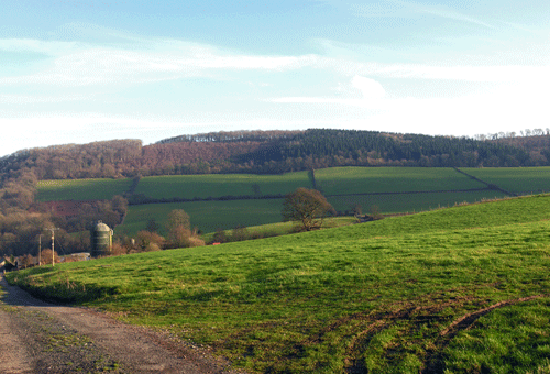 View southeast towards Coed-y-Prior showing fieldscape and woodland