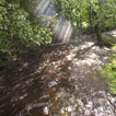 Veiw of possible weir downriver from Cynon