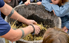 'Squish the poo, wee, earth and straw between your fingers!' Wattle 'n' daub fun